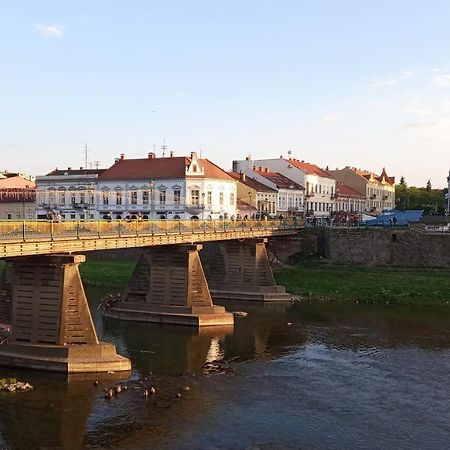 Затишна Двокімнатна Квартира В Самому Серці Ужгорода Uzjhorod Eksteriør billede