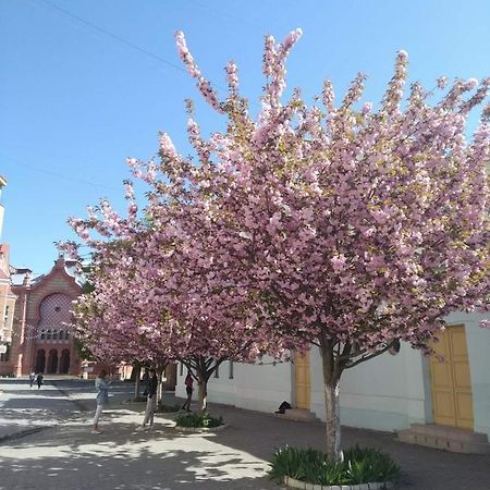 Затишна Двокімнатна Квартира В Самому Серці Ужгорода Uzjhorod Eksteriør billede