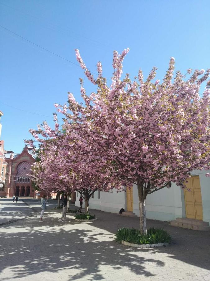 Затишна Двокімнатна Квартира В Самому Серці Ужгорода Uzjhorod Eksteriør billede